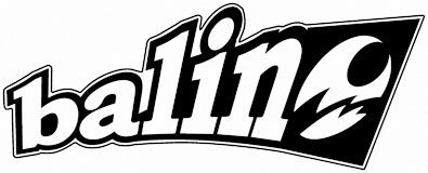 2013_FLARE-logo2